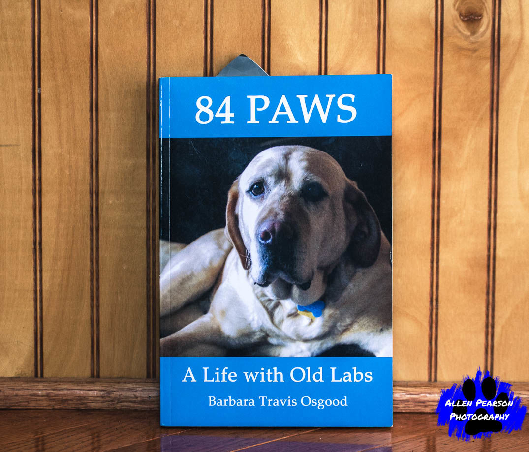 Allen Pearson Photography - 84 Labs - A Life with Old Labs.jpg